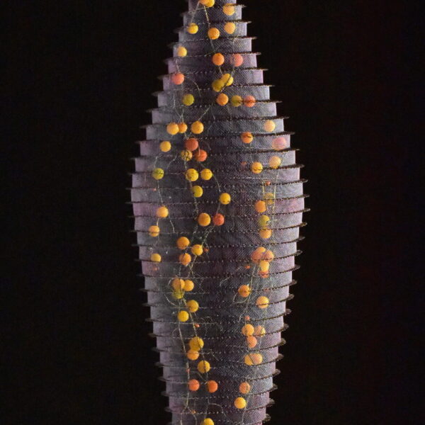 Fluctuous Pod | Lanny Bergner