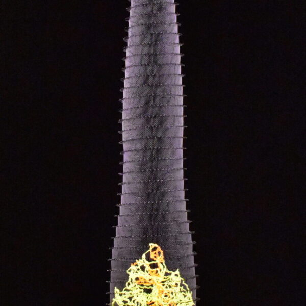 Microbiota #1 | Lanny Bergner