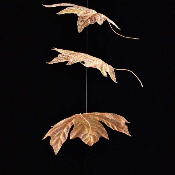 Cascading Maple Leaves | Lanny Bergner