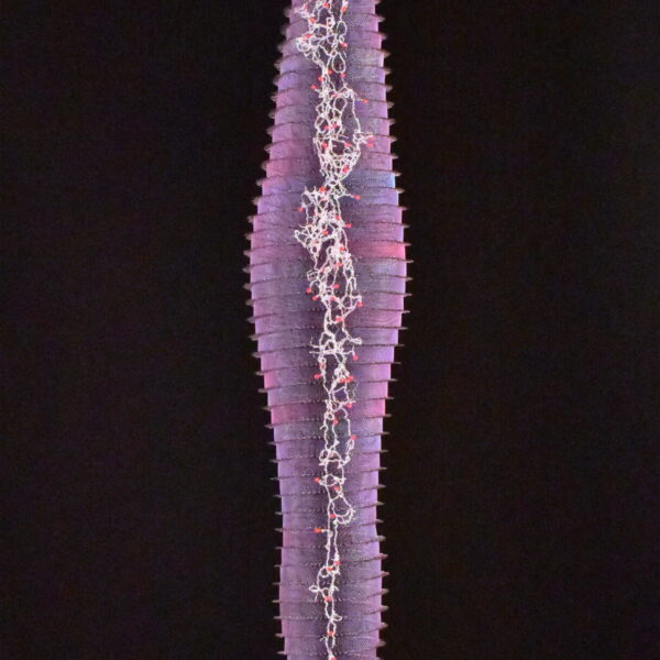 Microbiota #2 | Lanny Bergner