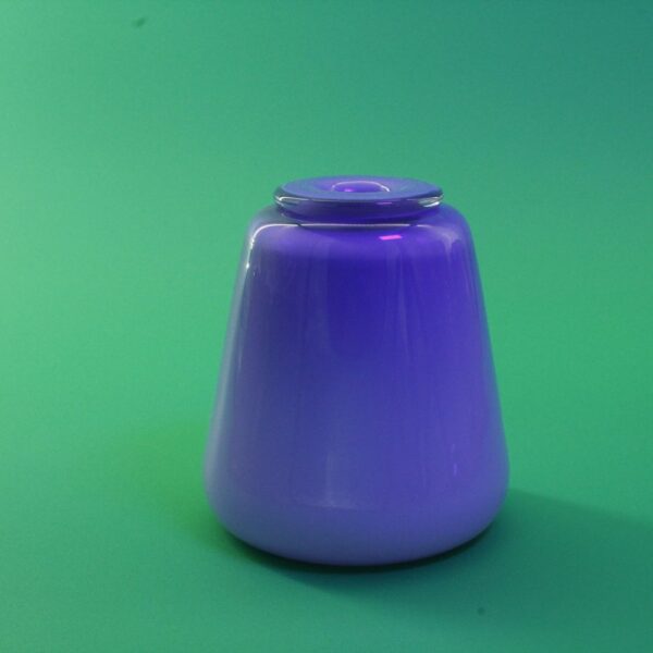 Little Bud Jeepers/ Purple | Tien Do