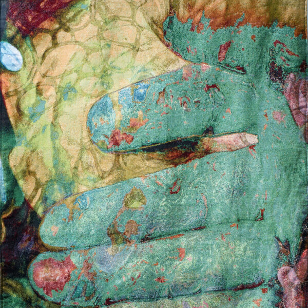 Blue Hand Hosta | Steve Donegan