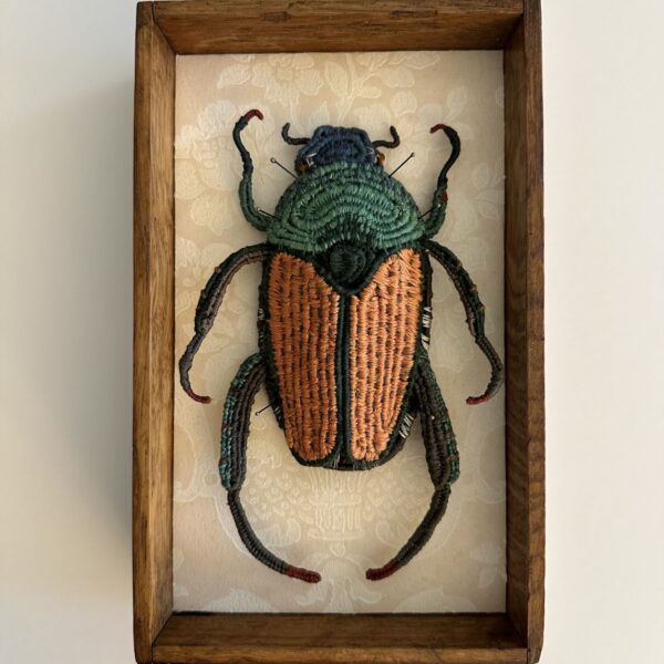 Popillia japonica | Carol Eckert