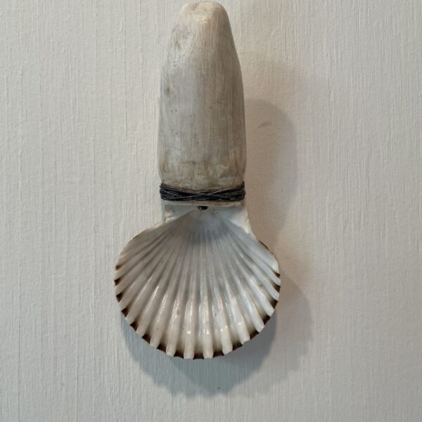 Shell Spoon (Spoon 110) | Lissa Hunter