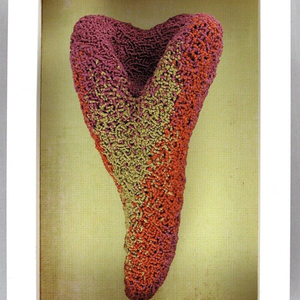 Y Knot...! | Jóh Ricci