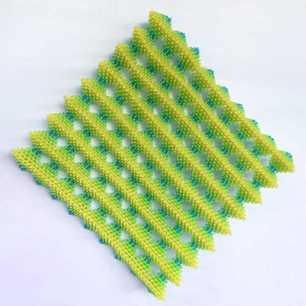 Tetra Hedon | Kelly Dzioba