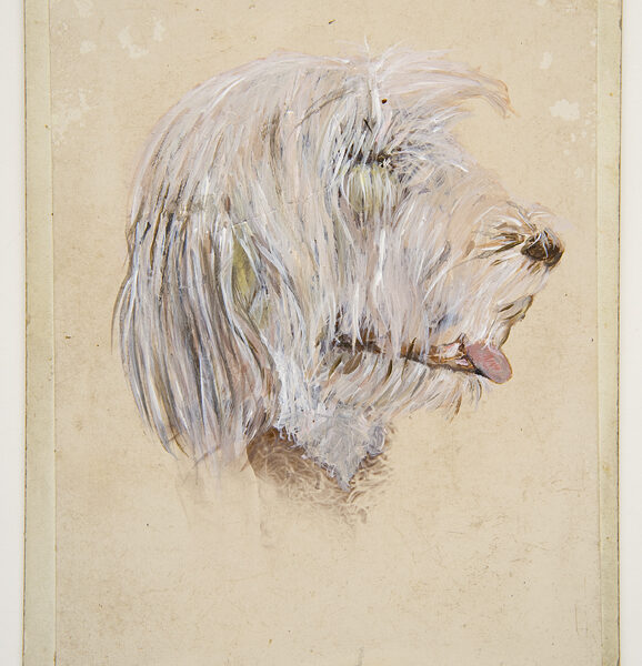 "Violeto" | Adele Crawford