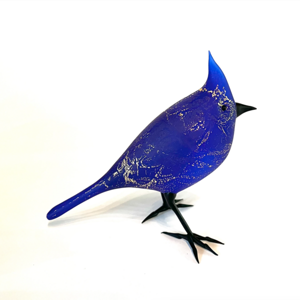 Royal Cardinal | Shane Fero