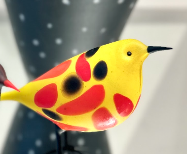 Yellow Harlequin | Shane Fero