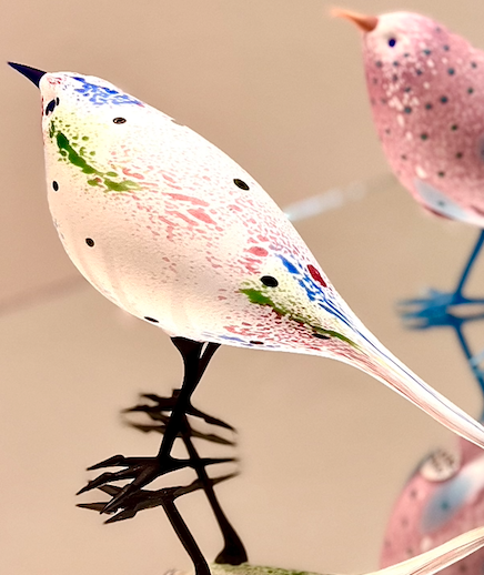 Spotted White Warbler | Shane Fero