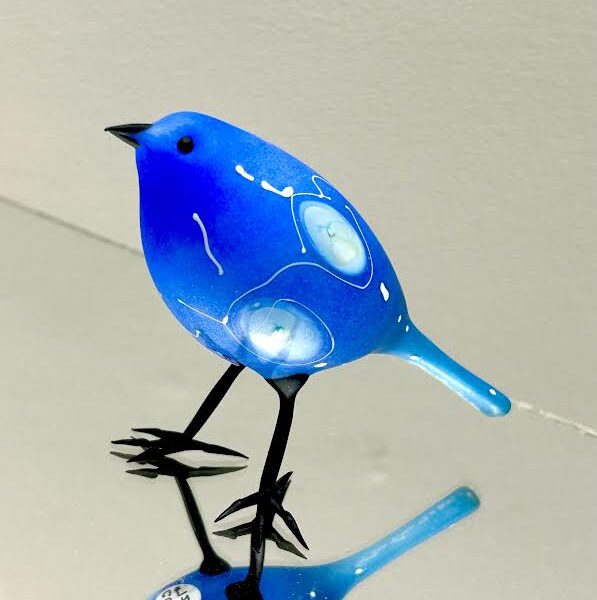 Pictograph Bluebird | Shane Fero