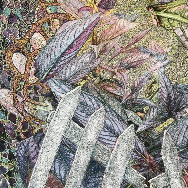 Broken Pickets | Steve Donegan