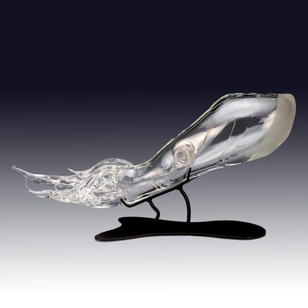 Large Crystal Squid | Cody Nicely