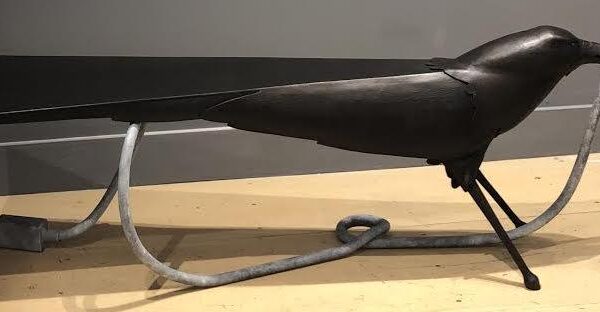 Curious Intervention | John Rais