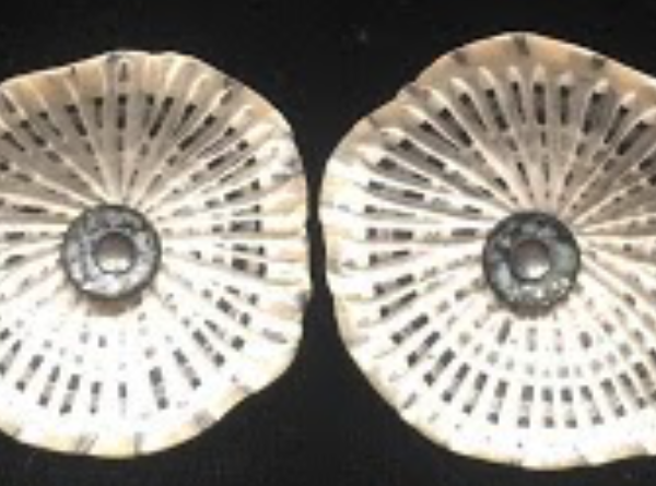 Earrings 1 | Ford Forlano