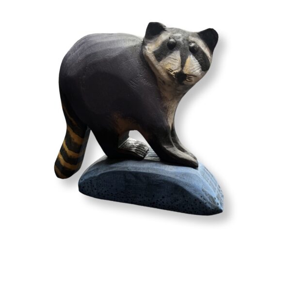 Night Prowlers - Startled Raccoon I Dona Dalton