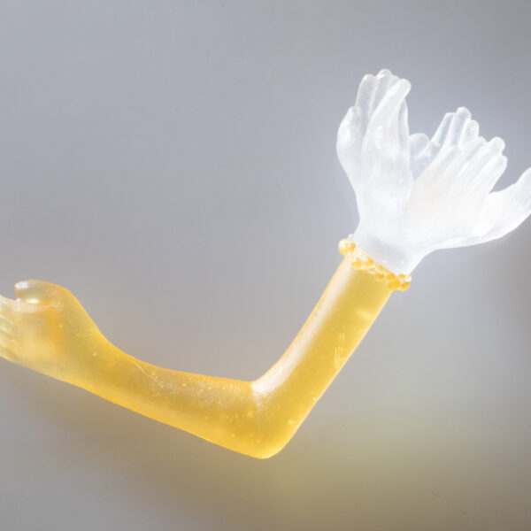 Arm Blossom I Anna Boothe