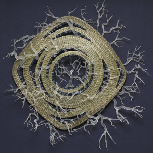 "Winter Solstice" | David Licata