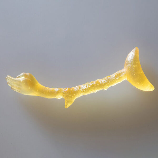 Moonreach I Anna Boothe