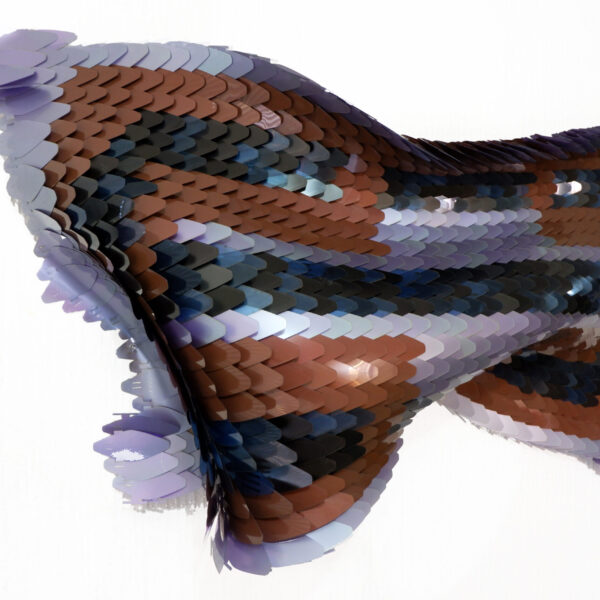 Intercorporeided VI | Jacobo Alonzo