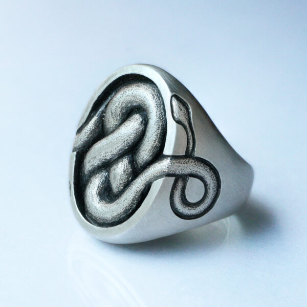 Snake in a Pickle | June Cream