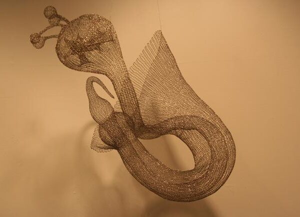 Snail | Blanka Sperkova