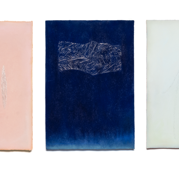 Pollen Velvets III | Polly Barton