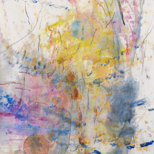 Veiled Moons | Barbara Straussberg