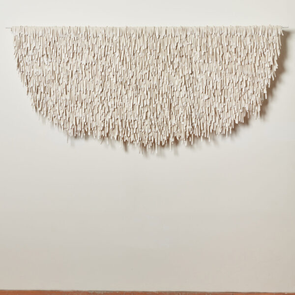 Eburnea (Ivory Gull) | Tara Thacker