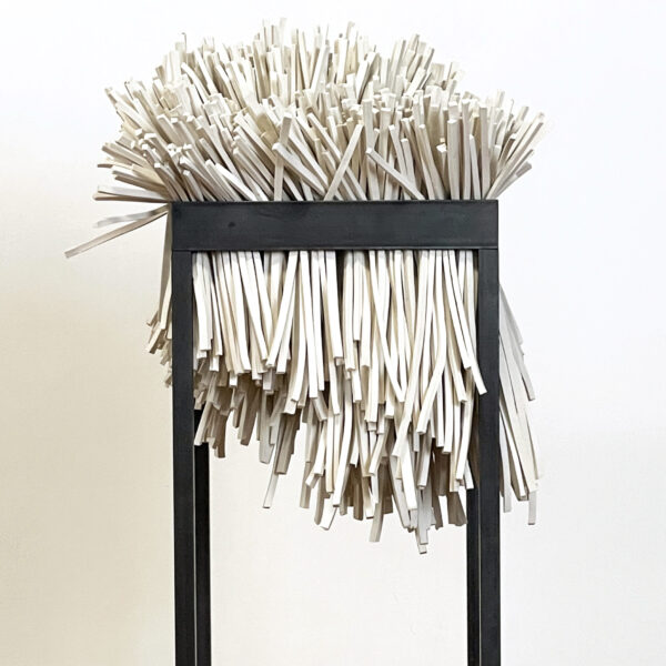 Leersia | Tara Thacker