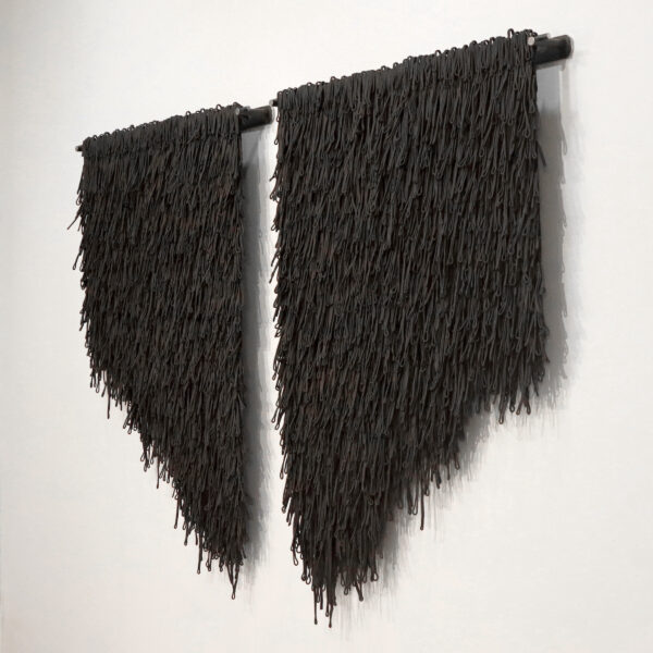 Remiges (Caracara) | Tara Thacker