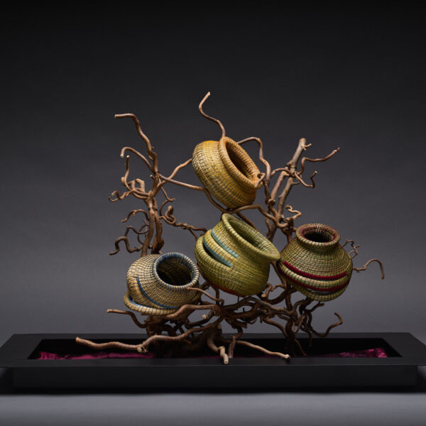 #1420 | Into The Wind | Debora Muhl