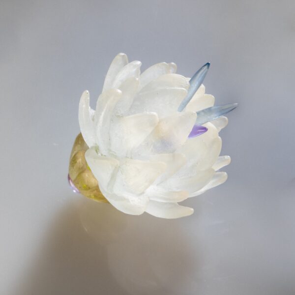 Lotus (green) | Anna Boothe