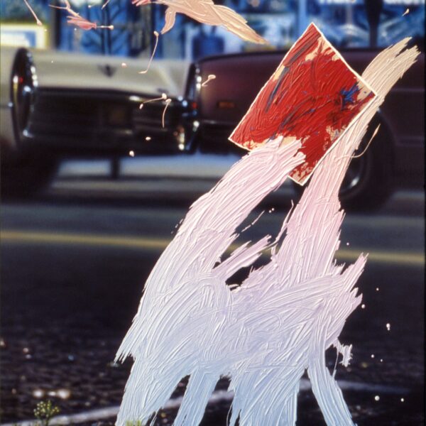 Rachael | Bruce Evans