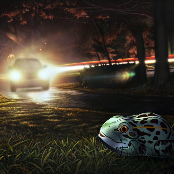 Home Coming | Bruce Evans