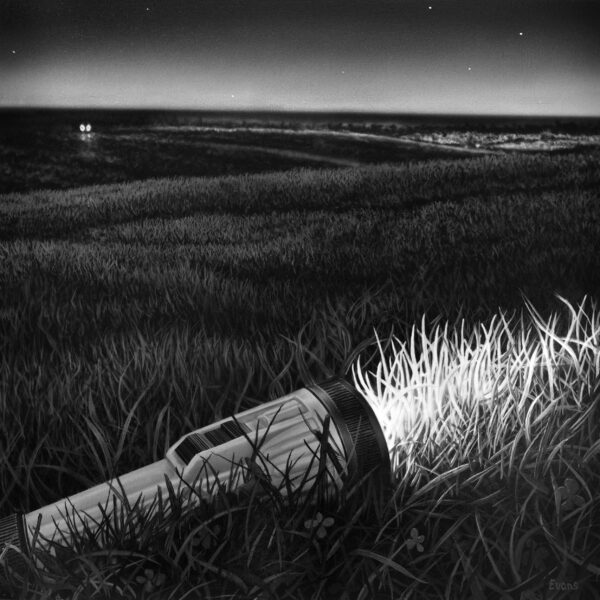 Illumination II | Bruce Evans