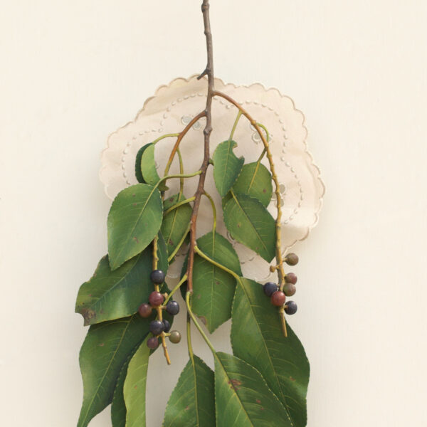 Black Cherry | Ron Isaacs