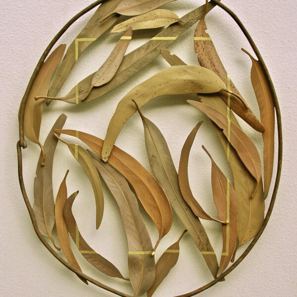 Eucalyptoid | Ron Isaacs