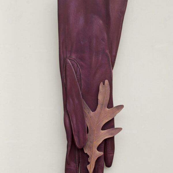 Lost Glove with Found Leaf | Ron Isaacs