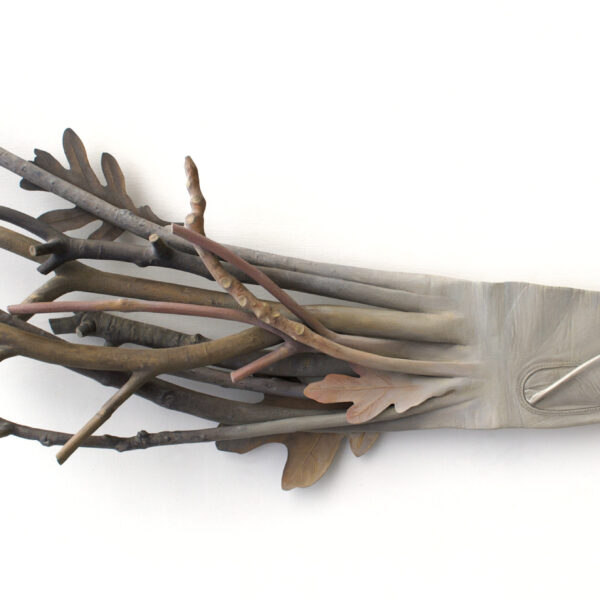 Human/Nature | Ron Isaacs