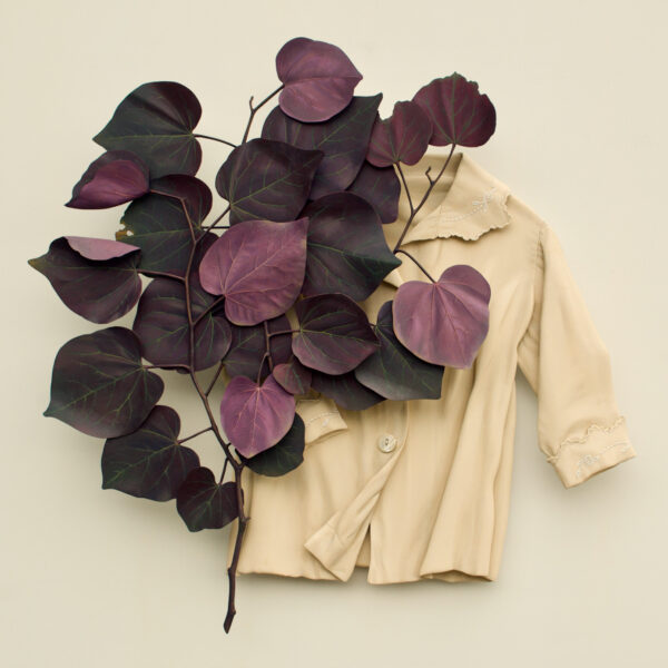 Hide and Seek | Ron Isaacs