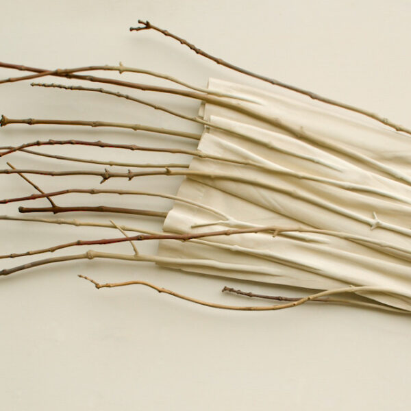 The Year of the Comet | Ron Isaacs