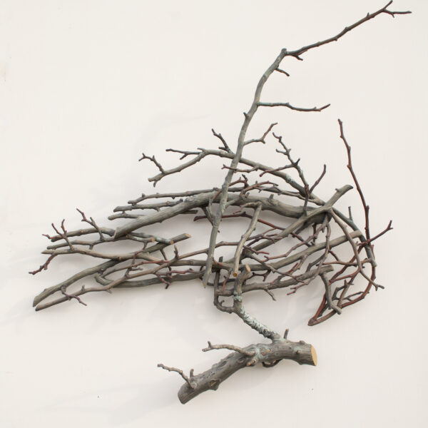 Crows in the Hawthorn 4 | Ron Isaacs